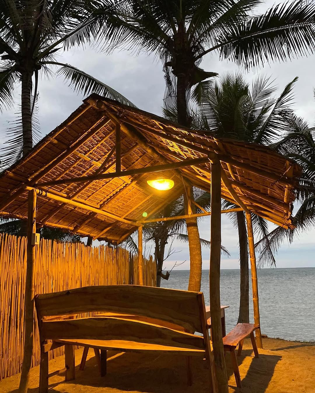 Coconut palms at The Frame property